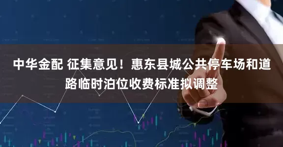 中华金配 征集意见！惠东县城公共停车场和道路临时泊位收费标准拟调整