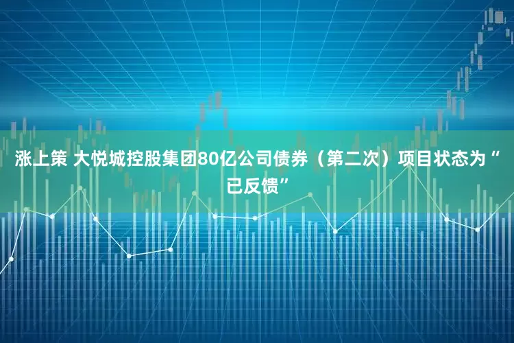 涨上策 大悦城控股集团80亿公司债券（第二次）项目状态为“已反馈”