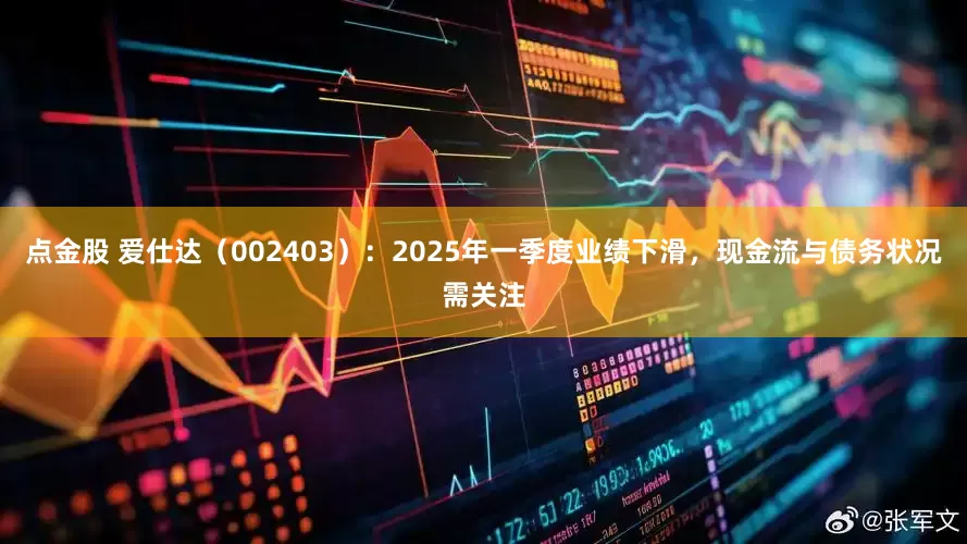 点金股 爱仕达（002403）：2025年一季度业绩下滑，现金流与债务状况需关注