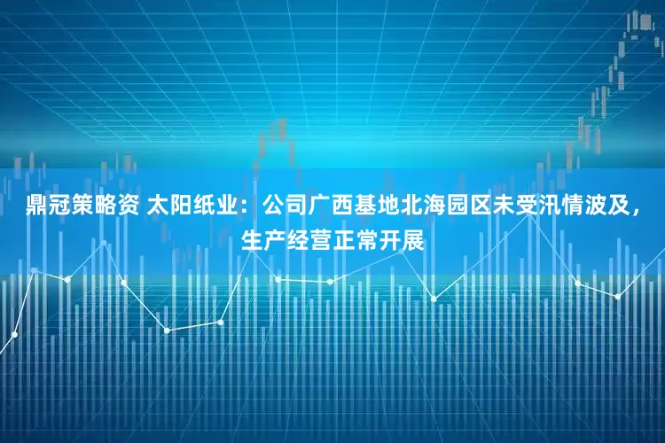 鼎冠策略资 太阳纸业：公司广西基地北海园区未受汛情波及，生产经营正常开展